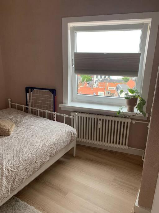 Apartment Aan Het In Aan Zee! *
